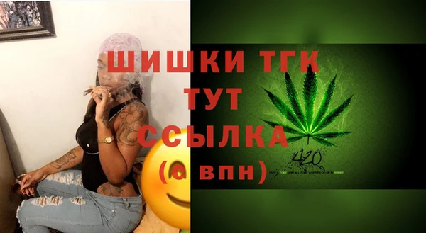 бошки Арсеньев