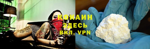 бошки Аркадак