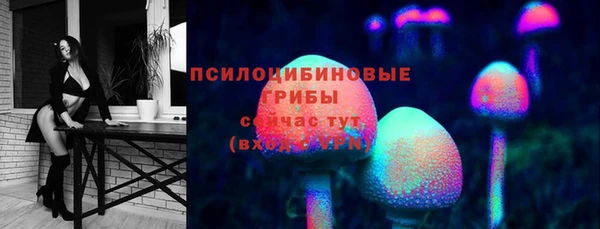 метадон Армянск