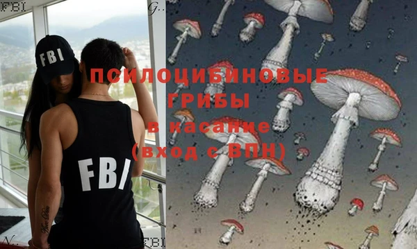 бошки Аркадак